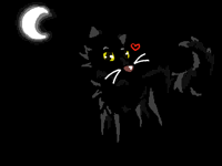 Give my catto some love <3