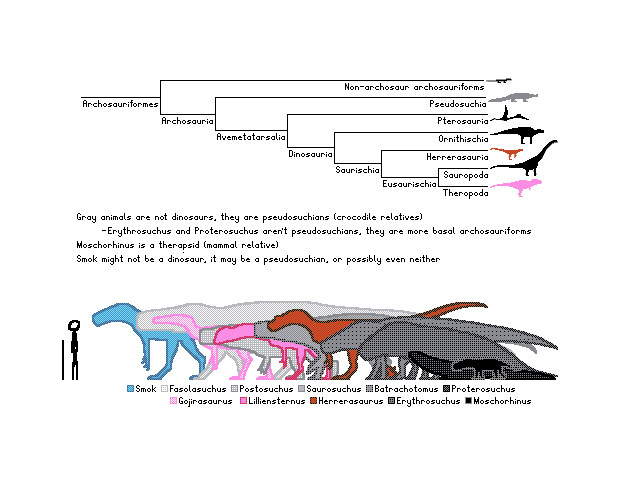 Triassic Cranivores Infographic