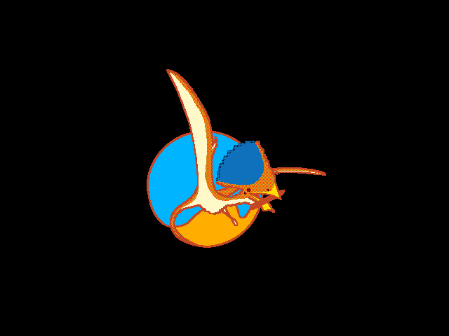 Random Tupandactylus thingy I had lying around