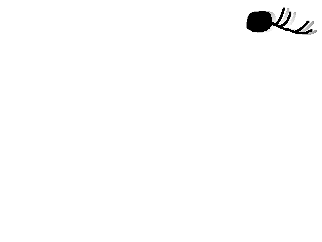 Stick fight [still WIP]