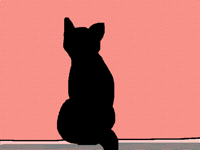 クロネコ