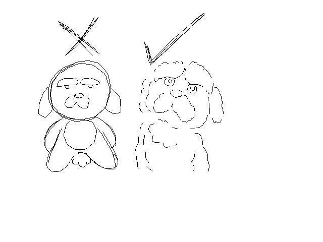 The thing on Twitter