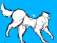 What should I draw