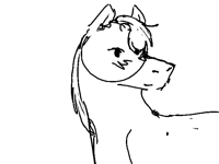 How to animal?