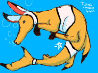 My Sharkvark