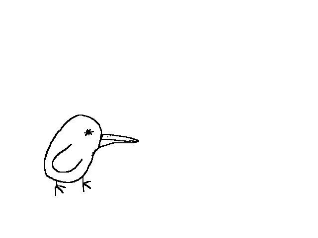 Bird #thesamchallenge