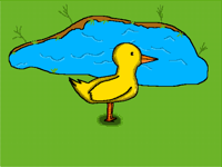 How do I improve duck
