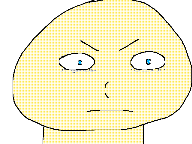 Puncho boi