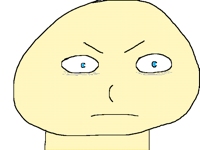 Puncho boi