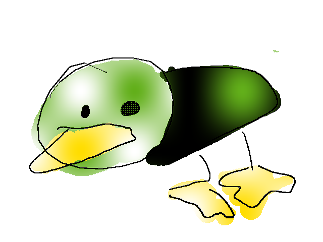 duck