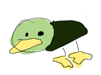 duck