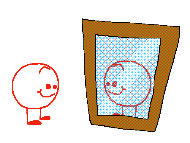 Mirror test bad