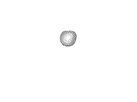 Thing