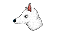 Wolf head finished