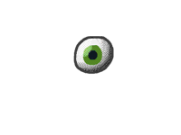 Eyeball