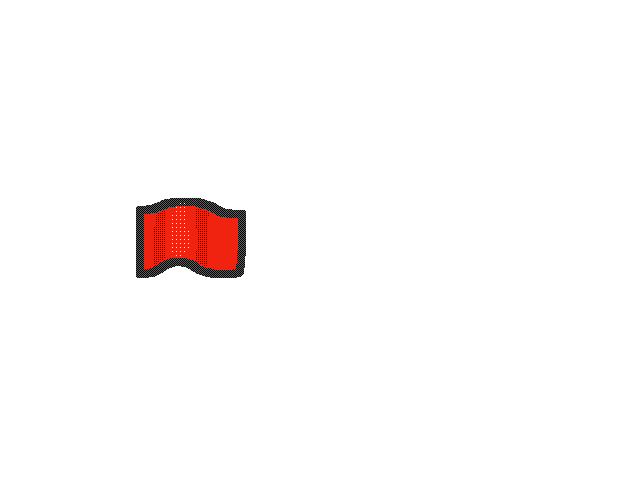 Flag test