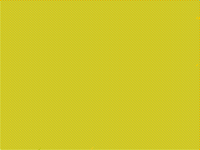 COLOUR PATTERN