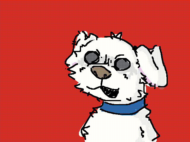 Rat