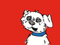 Rat
