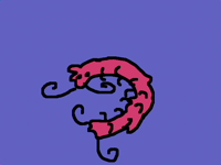 I want centipede worm on a string