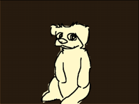 Rat
