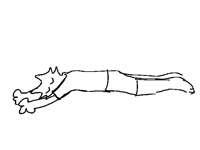 if only sleeping like this didnt destroy your neck