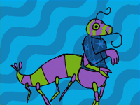 shrimp dude