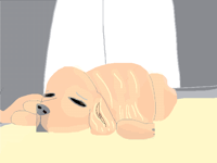 Random dog :)