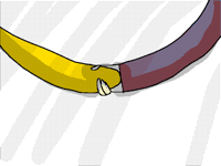Test 2