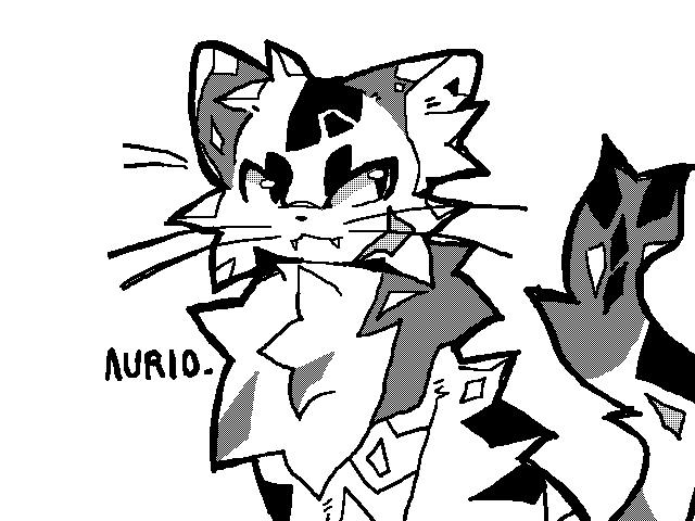 mow mow