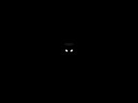 The Black night