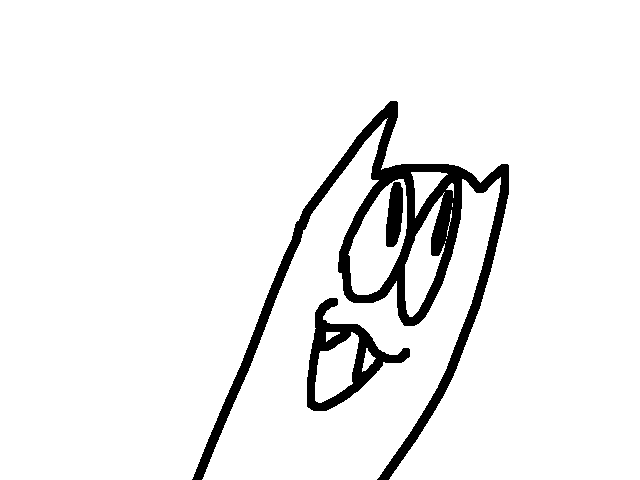More cat...