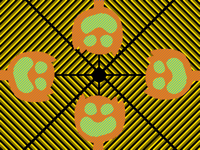 illusion "contest"