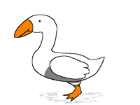 Goose