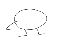 Whiteboard