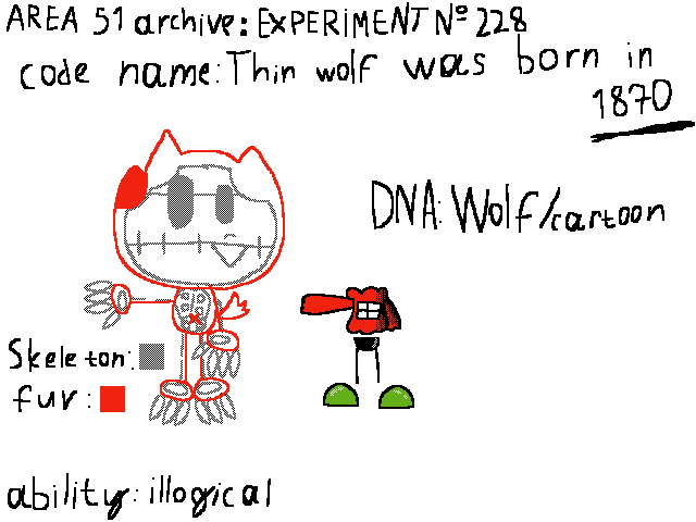Volkoved anatomy "new"