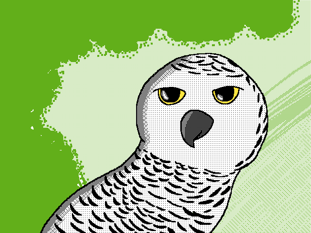 Owl