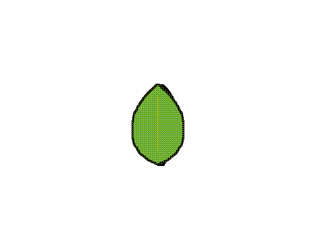 Eheh wip Leafy 2, and folio dead