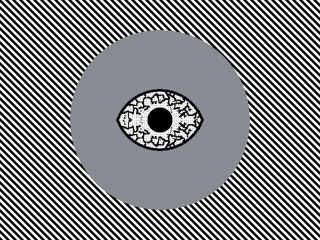 Eye