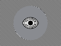 Eye