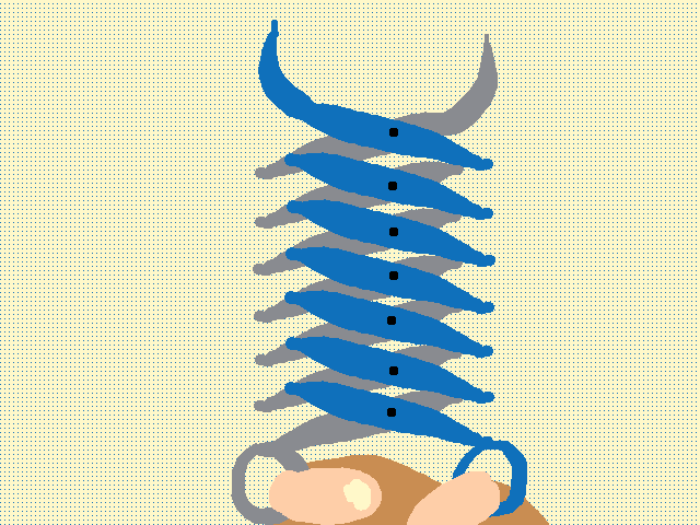 Дискотечные Ножницы