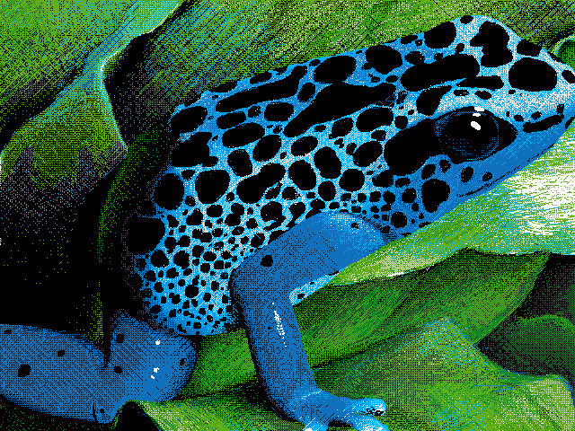 Blue frog (Remake)