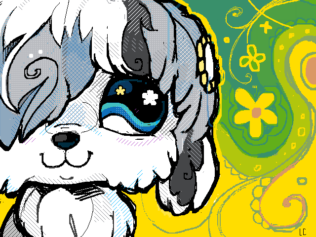 sheepdawg