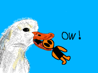 MR QUACK STOP