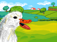 Mr quack
