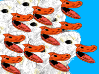 Mr Quack’s