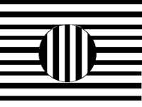 This illusion on other