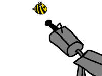Shooting the bee