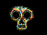 Rain bow skull black