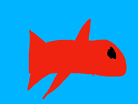 Baby Shark